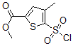 CAS 登录号：423768-46-1， 5-(氯磺酰基)-4-甲基-2-噻吩羧酸甲酯