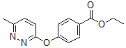 CAS 登录号：423768-61-0， 4-[(6-甲基-3-哒嗪基)氧基]-苯甲酸乙酯