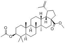 CAS 登录号：4356-30-3， 3b-乙酰氧基白桦脂酸甲酯