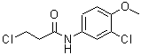 CAS 登录号：449170-55-2， 3-氯-N-(3-氯-4-甲氧基苯基)丙酰胺