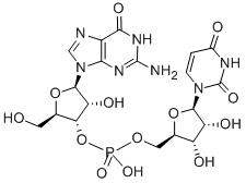 CAS 登录号：4785-07-3， 鸟苷酰-(3'-5')-尿苷