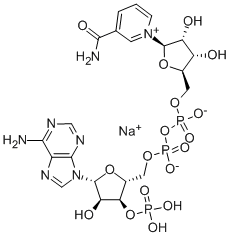 CAS 登录号：50443-29-3， beta-烟酰胺腺嘌呤二核苷酸 3'-磷酸酯钠盐