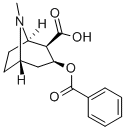 CAS 登录号：519-09-5， 苯甲酰基芽子碱