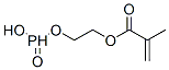 CAS 登录号：51949-57-6， 2-[(羟基亚膦酰)氧基]乙基甲基丙烯酸酯