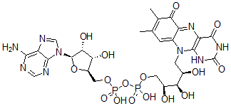 CAS 登录号：52301-43-6， 6-羟基-黄素腺嘌呤二核苷酸