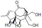 CAS 登录号：52557-29-6， 16-羟基巨大戟醇