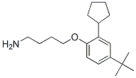CAS#: 52762-69-3, 4-[4-(Tert-Butyl)-2-Cyclopentylphenoxy]Butylamine