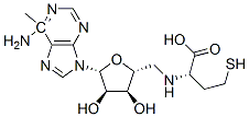 CAS 登录号：53228-06-1， S-N(6)-甲基腺苷高半胱氨酸