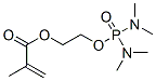 CAS 登录号：54641-24-6， 2-[[二(二甲基氨基)亚膦酰]氧基]乙基甲基丙烯酸酯