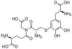 CAS 登录号：55136-58-8， 谷胱甘酰多巴