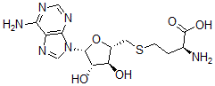 CAS 登录号:55267-52-2, S-(5-(9-阿拉伯呋喃糖基腺嘌呤基))-L-高半胱氨酸