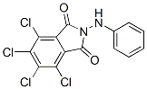 CAS 登录号：55809-92-2， 3,4,5,6-四氯-N-苯胺基邻苯二甲酰亚胺