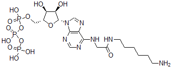 CAS#: 55860-26-9, N(6)-((6-Aminohexyl)Carbamoylmethyl)Atp