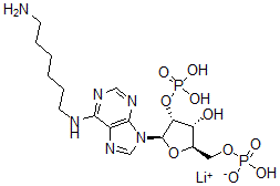 CAS 登录号：55914-62-0， N6-(6-氨基己基)腺苷 2',5'-二磷酸酯锂盐