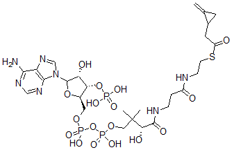 CAS#: 56898-43-2, Coenzyme A S-(2-methylenecyclopropaneacetate)
