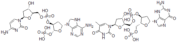 CAS#: 57683-27-9, Thymidylyl-(5'-3')-2'-deoxy-5'-Guanylic acid complex with 2'-deoxycytidylyl-(5'-3')-2'-deoxy-5'-adenylic acid