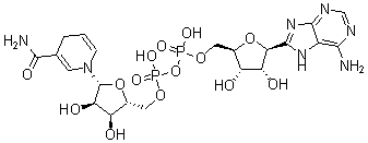 CAS#: 58-68-4, Dihydronicotinamide-Adenine Dinucleotide