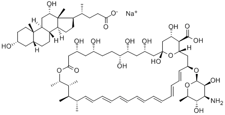 CAS 登录号：58501-21-6， 两性霉素 B 静脉注射液