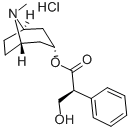 CAS#: 5934-50-9, Hyoscyamine Hydrochloride