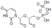 CAS 登录号：60262-90-0， 二磷酸尿核苷二醛