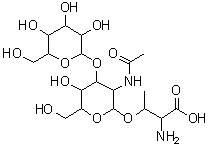 CAS#: 60280-58-2, 3-{[3-Acetamido-5-Hydroxy-6-(Hydroxymethyl)-4-{[3,4,5-Trihydroxy-6-(Hydroxymethyl)Tetrahydro-2H-Pyran-2-Yl]Oxy}Tetrahydro-2H-Pyran-2-Yl]Oxy}-2-Aminobutanoic Acid