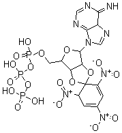 CAS 登录号：61368-63-6， 2',3'-O-(2,4,6-三硝基-环己二烯亚基)腺苷 5'-三磷酸酯