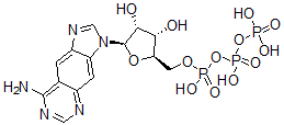 CAS#: 61925-58-4, Benzo-adenosine triphosphate