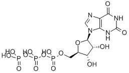CAS 登录号：6253-56-1， 黄苷-5'-三磷酸酯