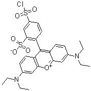 CAS 登录号：62796-29-6， 9-[4-(氯磺酰基)-2-磺基苯基]-3,6-二(二乙基氨基)-呫吨鎓内盐