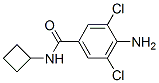CAS#: 63887-22-9, 4-Amino-N-Cyclobutyl-3,5-Dichlorobenzamide