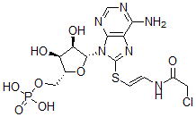 CAS 登录号:65259-76-9, 8-(氯乙酰基氨基乙基硫代)环腺苷酸