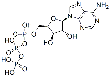 CAS#: 653-60-1, 9-beta-Xylofuranosyladenine 5'-Triphosphate
