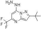 CAS 登录号：655235-56-6， 7-肼基-2-(2-甲基-2-丙基)-5-(三氟甲基)吡唑并[1,5-a]嘧啶