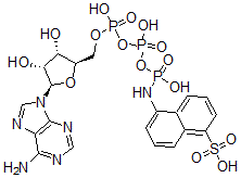 CAS 登录号：66492-86-2， 腺苷三磷酸酯-1-氨基萘-5-磺酸