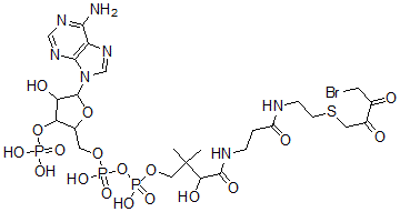 CAS#: 66686-64-4, 4-Bromo-2,3-Dioxobutyl-Coenzyme A