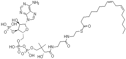 CAS#: 6709-57-5, Coenzyme A S-(9Z,12Z)-9,12-Octadecadienoate
