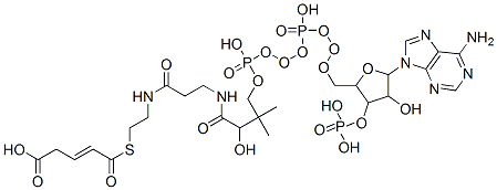 CAS 登录号：6712-05-6， 4-[2-[3-[[4-[[[5-(6-氨基嘌呤-9-基)-4-羟基-3-膦酰氧基-四氢呋喃-2-基]甲氧基-羟基-磷酰]氧基-羟基-磷酰]氧基-2-羟基-3,3-二甲基-丁酰基]氨基]丙酰氨基]乙硫基羰基]丁-3-烯酸