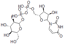 CAS 登录号：67341-43-9， 尿苷-2-脱氧-2-氟-D-葡萄糖二磷酸酯