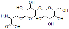 CAS 登录号：67412-79-7， O-beta-吡喃半乳糖基-(1-4)-O-beta-吡喃木糖基-(1-0)-丝氨酸