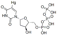 CAS 登录号：67508-92-3， 5-汞脱氧尿苷三磷酸酯