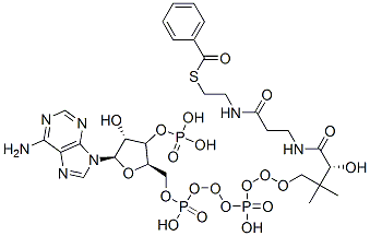 CAS 登录号：6756-74-7， [(2R,3R,4R,5R)-5-(6-氨基嘌呤-9-基)-2-[[[[3-[2-(2-苯甲酰硫乙基氨基甲酰)乙基氨基甲酰]-3-羟基-2,2-二甲基-丙氧基]-羟基-磷酰]氧基-羟基-磷酰]氧基甲基]-4-羟基-四氢呋喃-3-基]氧基膦酸