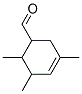 CAS#: 67634-07-5, 3,5,6-Trimethylcyclohex-3-Ene-1-Carbaldehyde