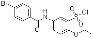 CAS 登录号：680617-92-9， 5-[(4-溴苯甲酰基)氨基]-2-乙氧基苯磺酰氯