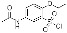 CAS 登录号：680618-19-3， 5-乙酰氨基-2-乙氧基苯磺酰氯