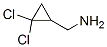 CAS 登录号：68618-71-3， (2,2-二氯环丙基)甲胺
