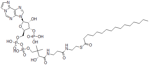 CAS#: 69680-31-5, Palmitoyl-(1,N(6))-Ethenocoenzyme A