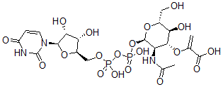 CAS 登录号：70222-94-5， 尿苷二磷酰-N-乙酰基葡萄糖胺烯醇丙酮酸