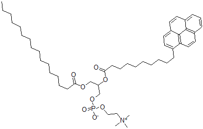 CAS 登录号：70700-33-3， 1-棕榈酰-2-芘癸酰磷脂酰胆碱