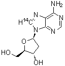 CAS#: 7074-96-6, 2'-Deoxy(8-<sup>14</sup>C)adenosine
