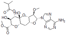 CAS#: 72067-15-3, (11R)-11-C-(6-Amino-9H-Purin-9-Yl)-2,6:8,11-Dianhydro-10-O-Methyl-4-O-(1-Oxo-2-Methylpropyl)-7-Deoxy-alpha-L-Ido-D-Lyxo-5-Undecoulo-5,9-Pyranosonic Acid Methyl Ester